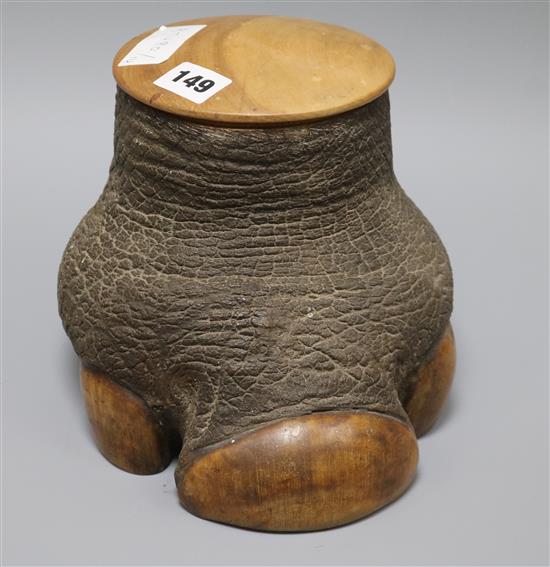 A baby elephants foot jar
